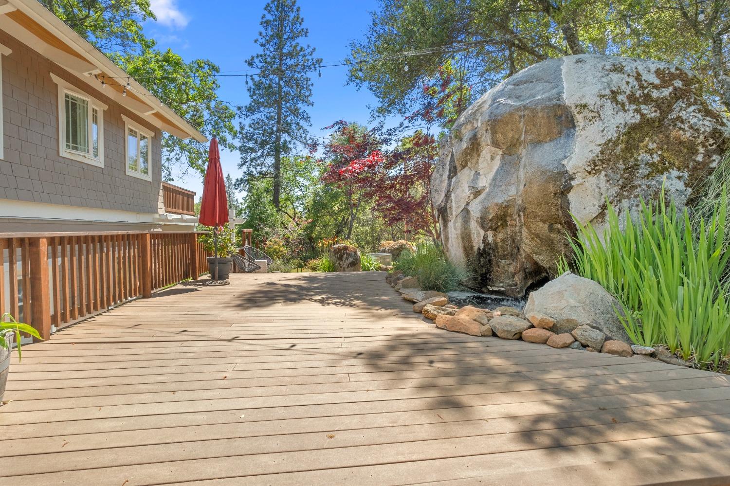 3137 Squirrel Hollow