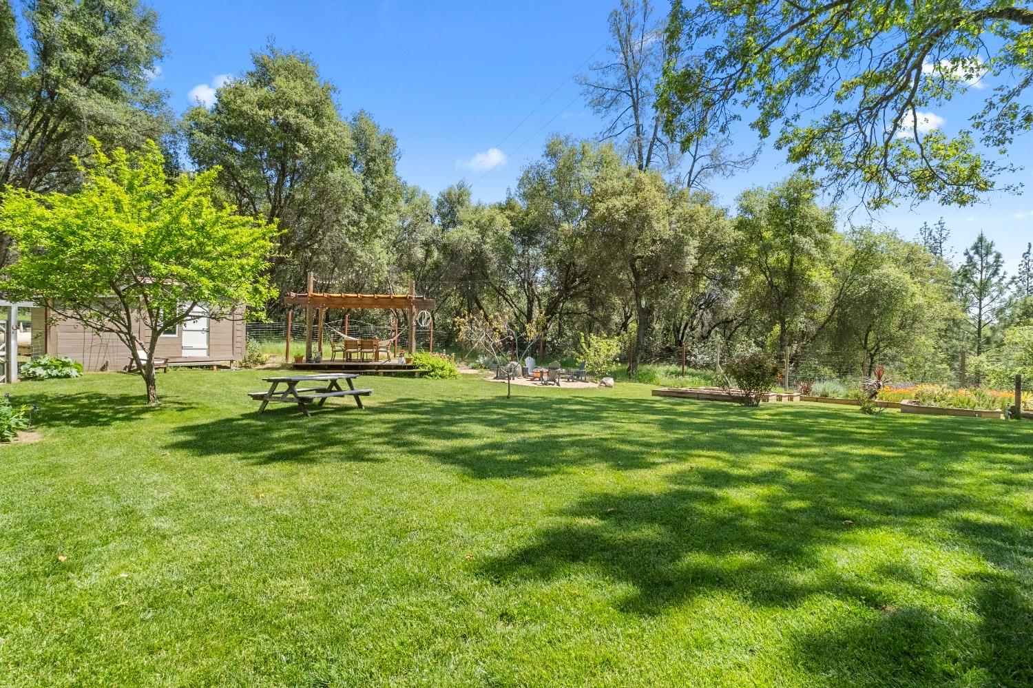 3137 Squirrel Hollow