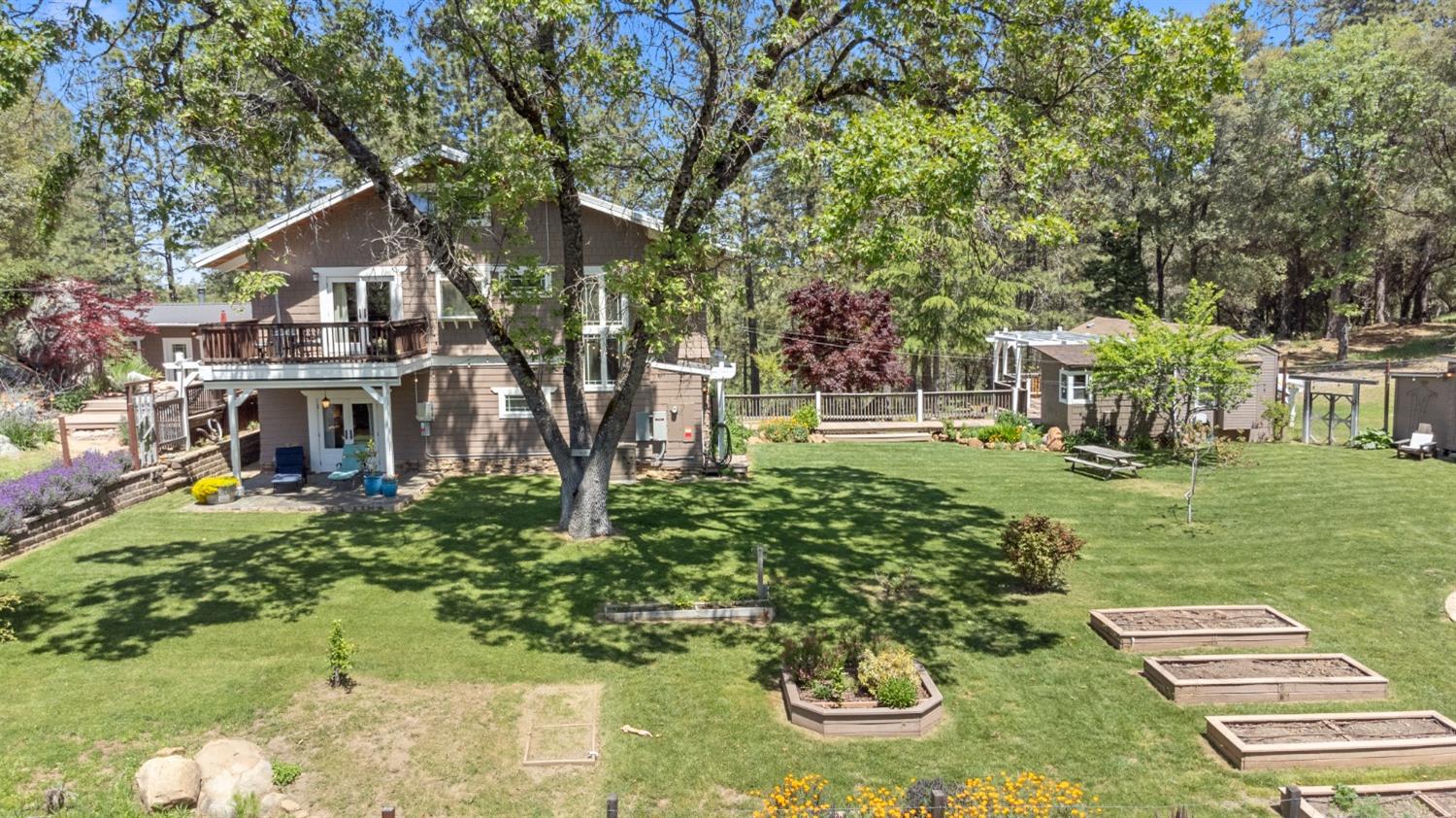 3137 Squirrel Hollow