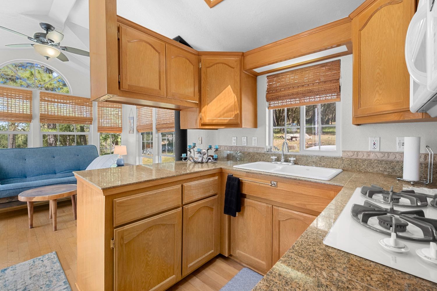 3137 Squirrel Hollow