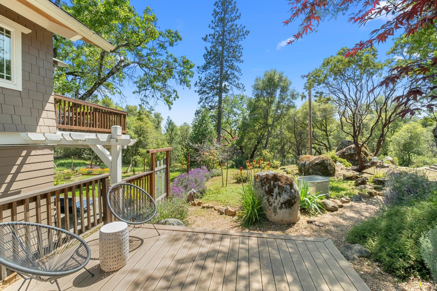 3137 Squirrel Hollow