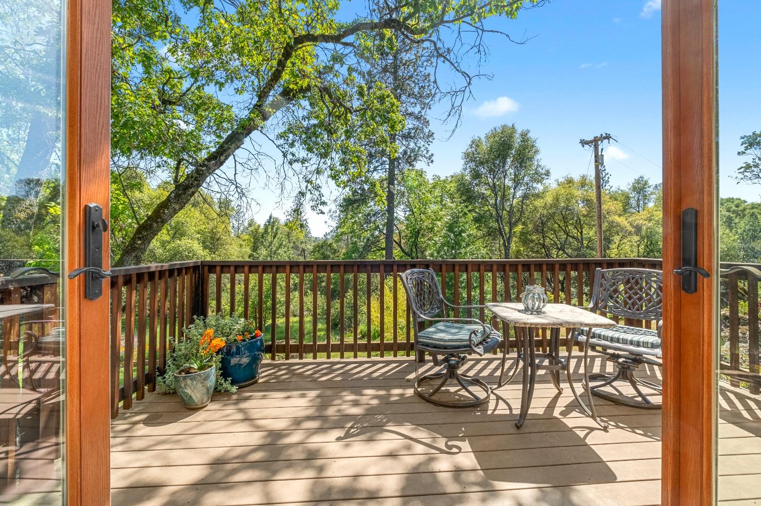 3137 Squirrel Hollow