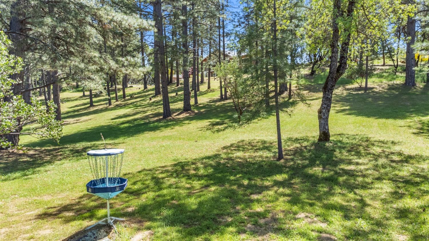 3137 Squirrel Hollow