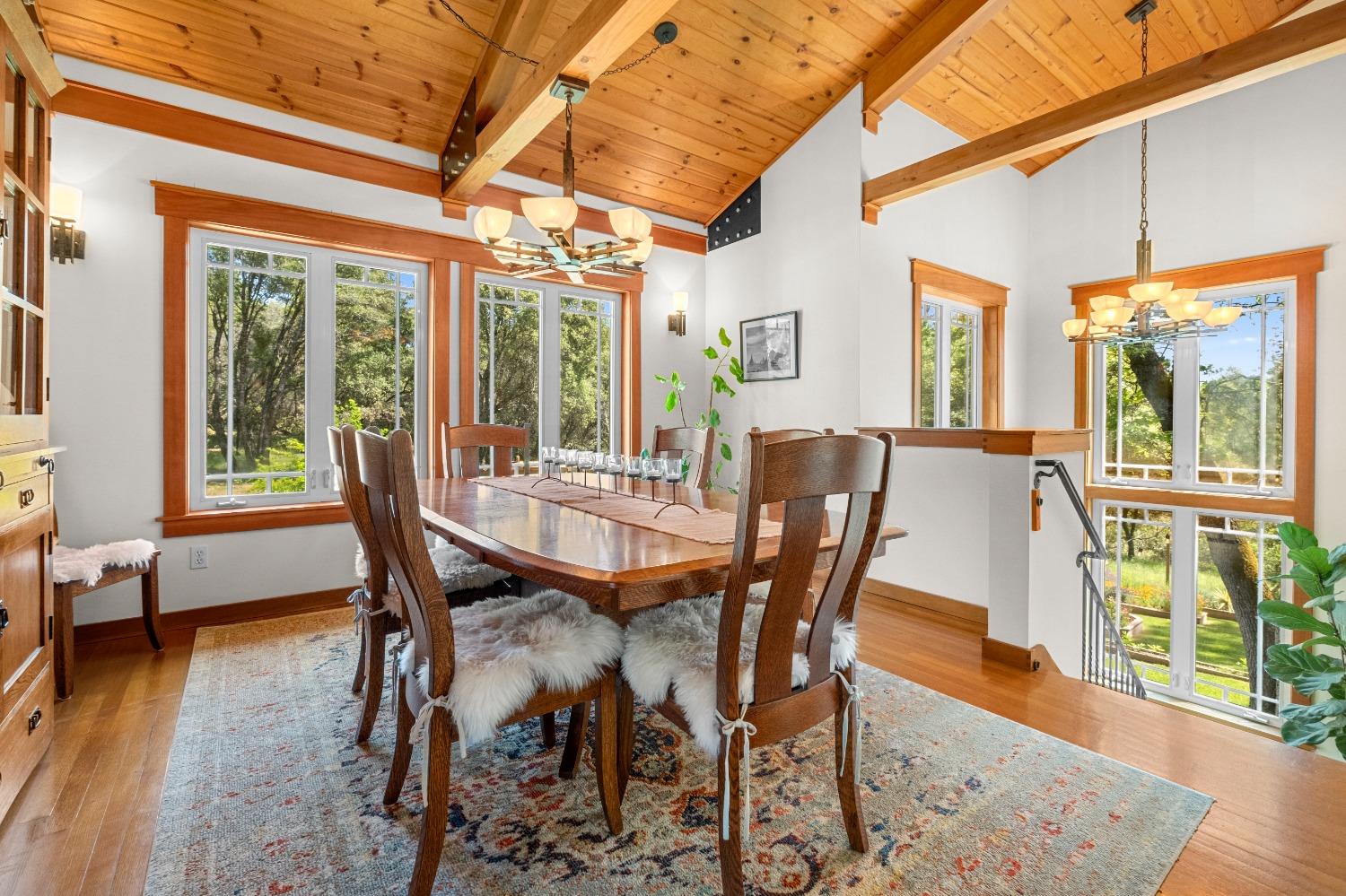 3137 Squirrel Hollow