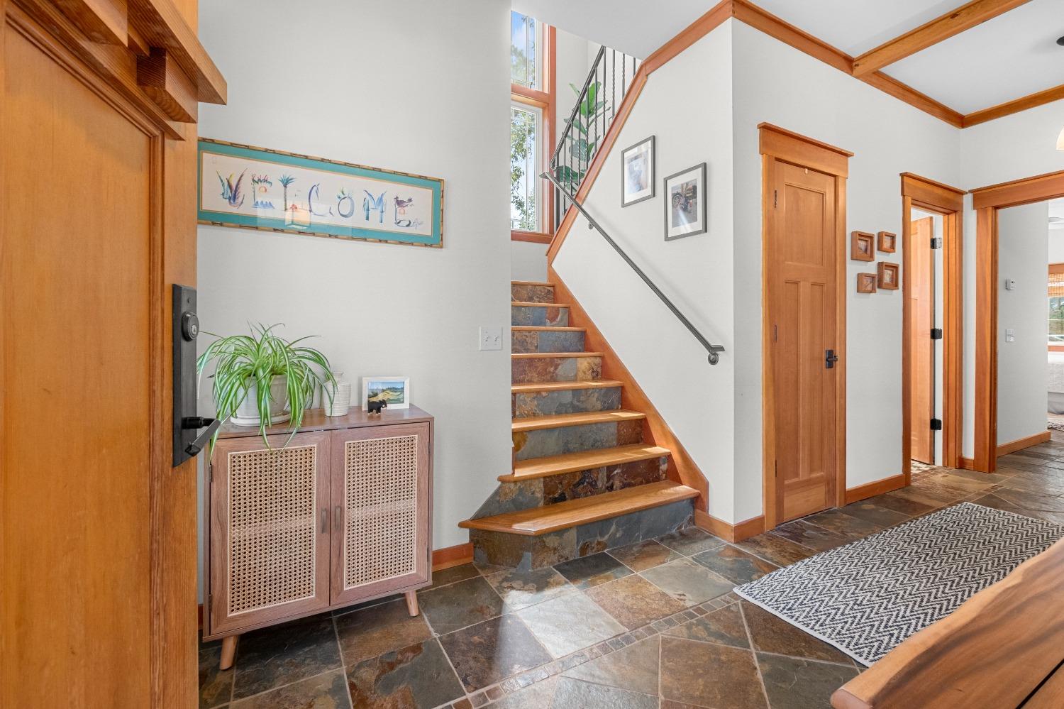 3137 Squirrel Hollow