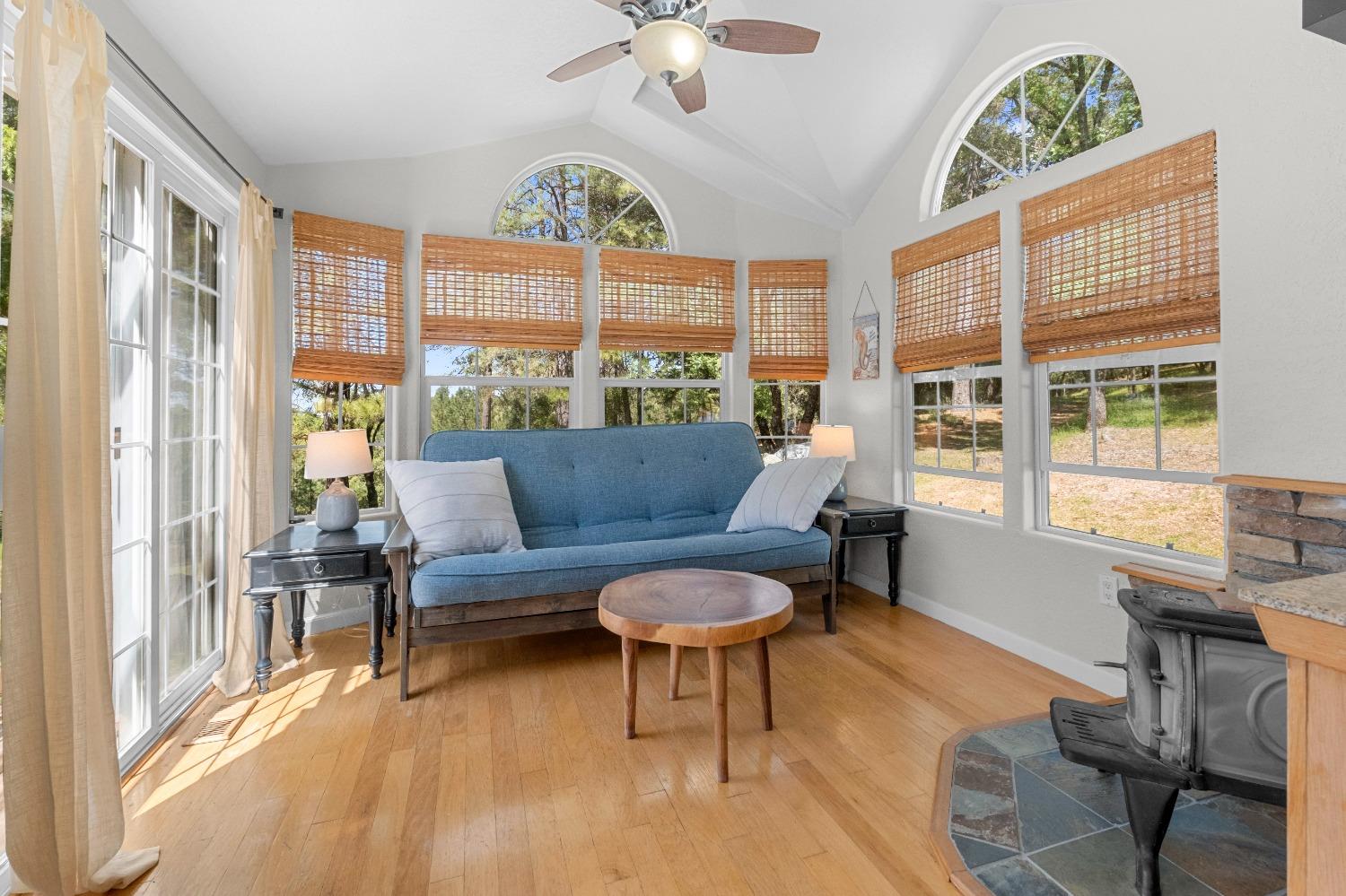 3137 Squirrel Hollow