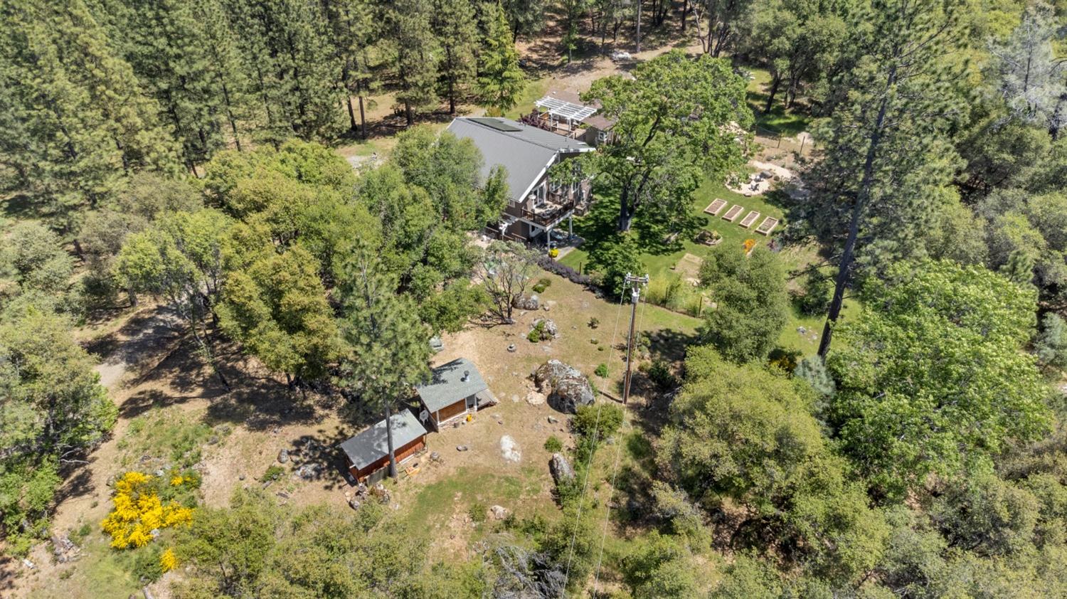 3137 Squirrel Hollow