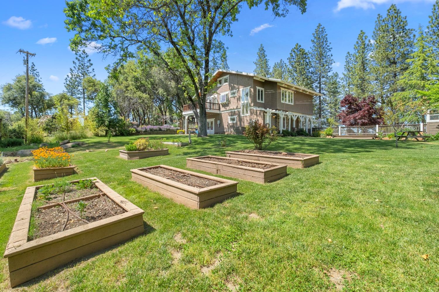 3137 Squirrel Hollow