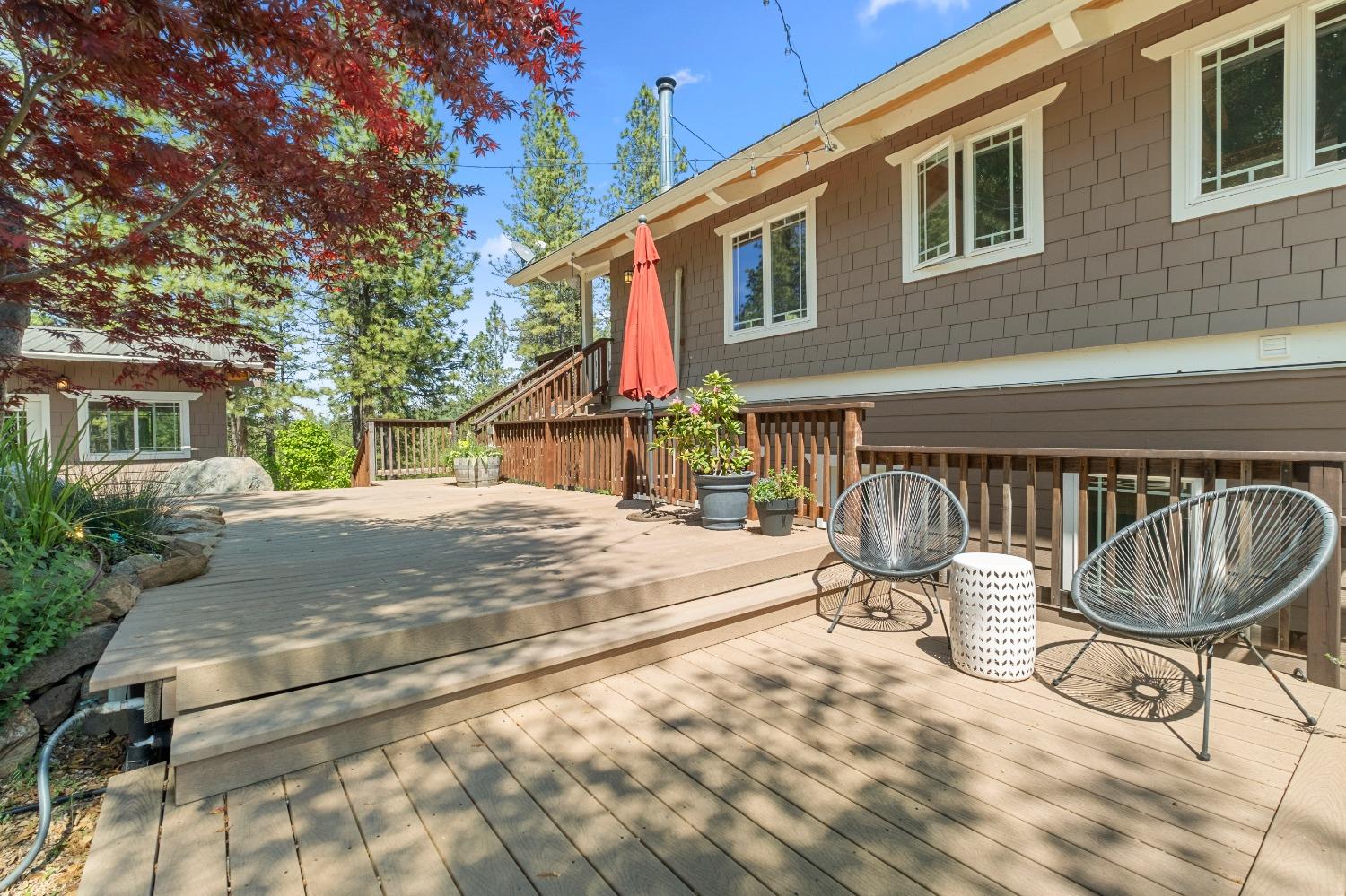 3137 Squirrel Hollow