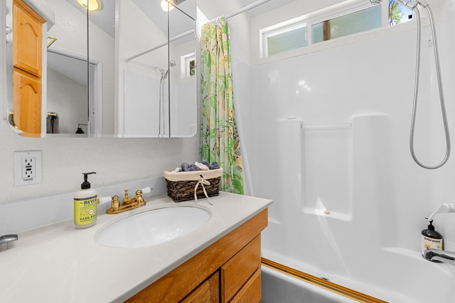 3137 Squirrel Hollow