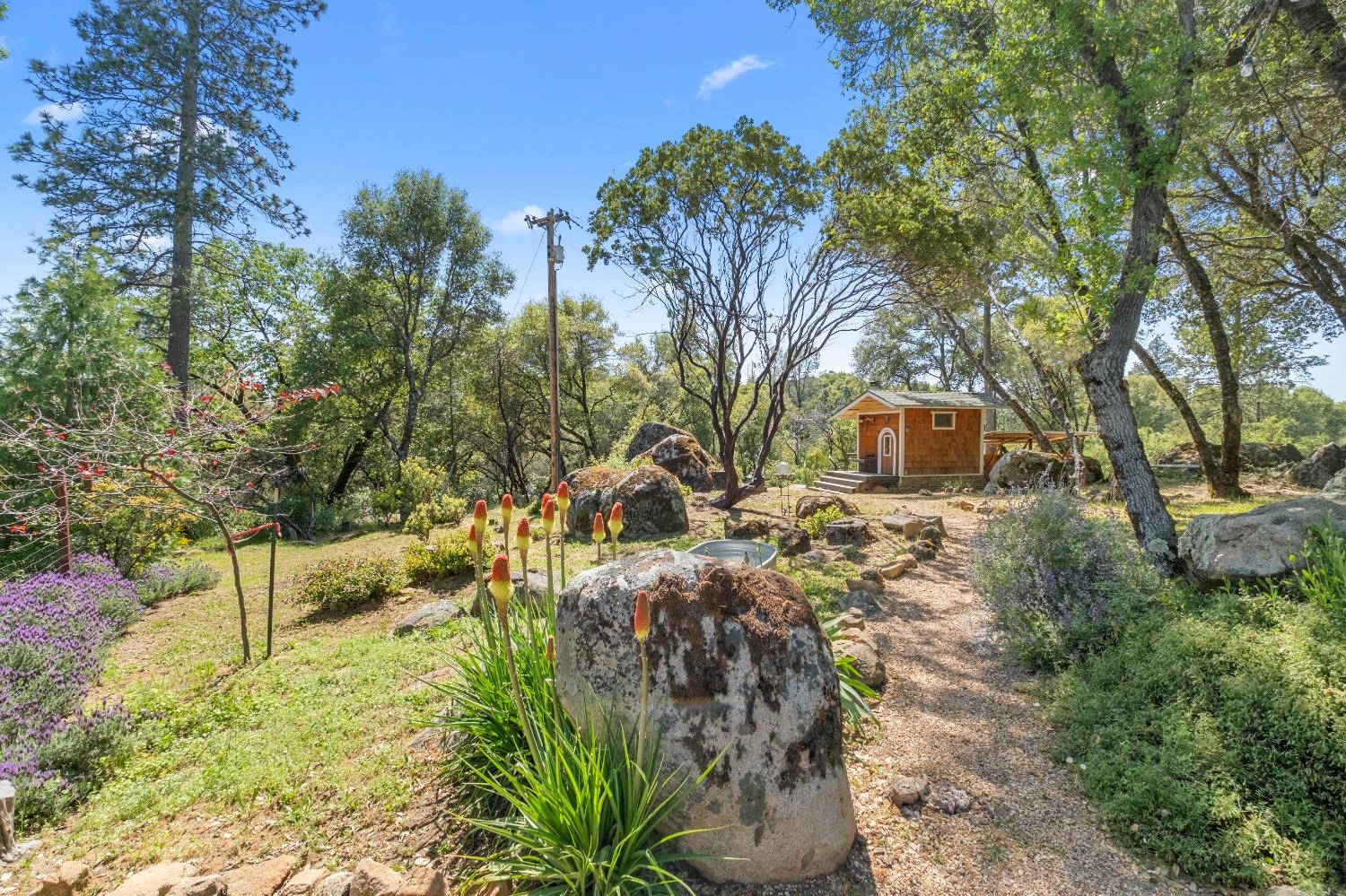 3137 Squirrel Hollow