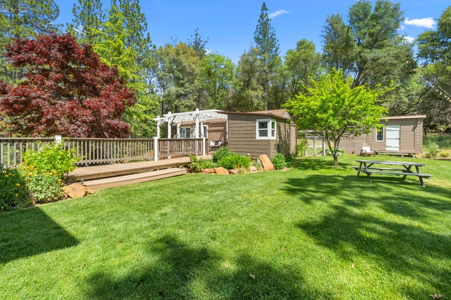 3137 Squirrel Hollow