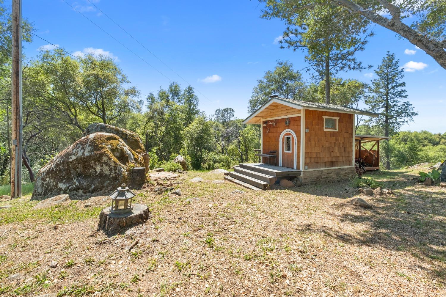 3137 Squirrel Hollow