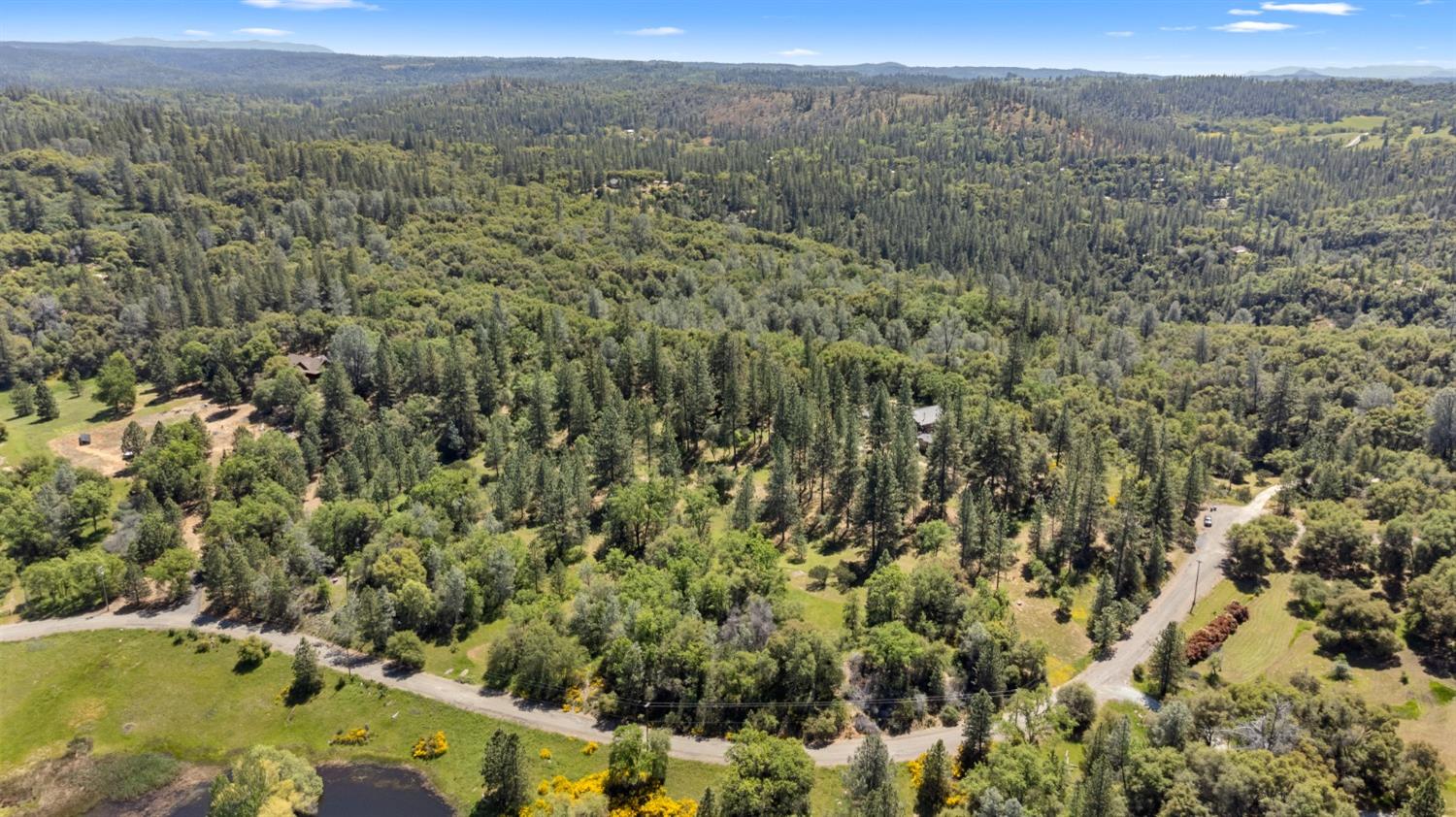 3137 Squirrel Hollow