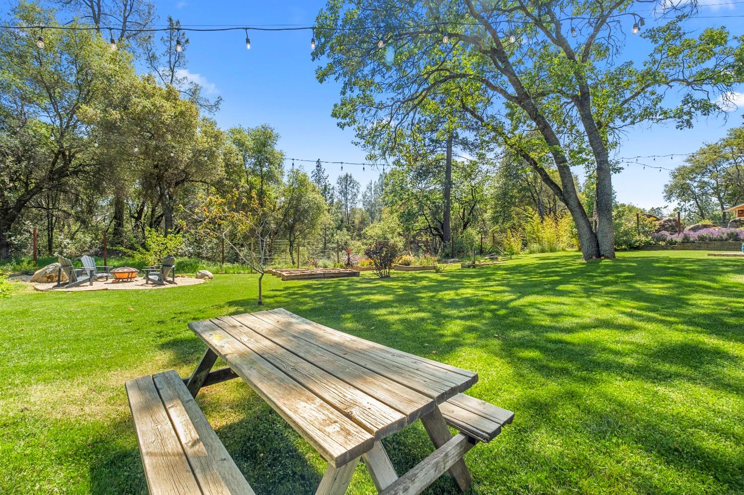 3137 Squirrel Hollow