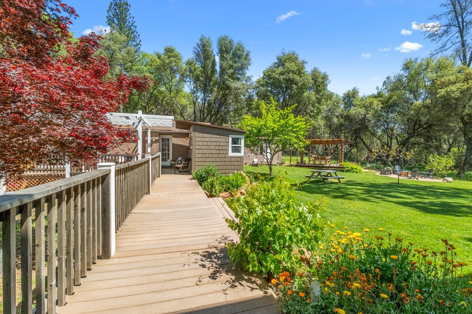 3137 Squirrel Hollow