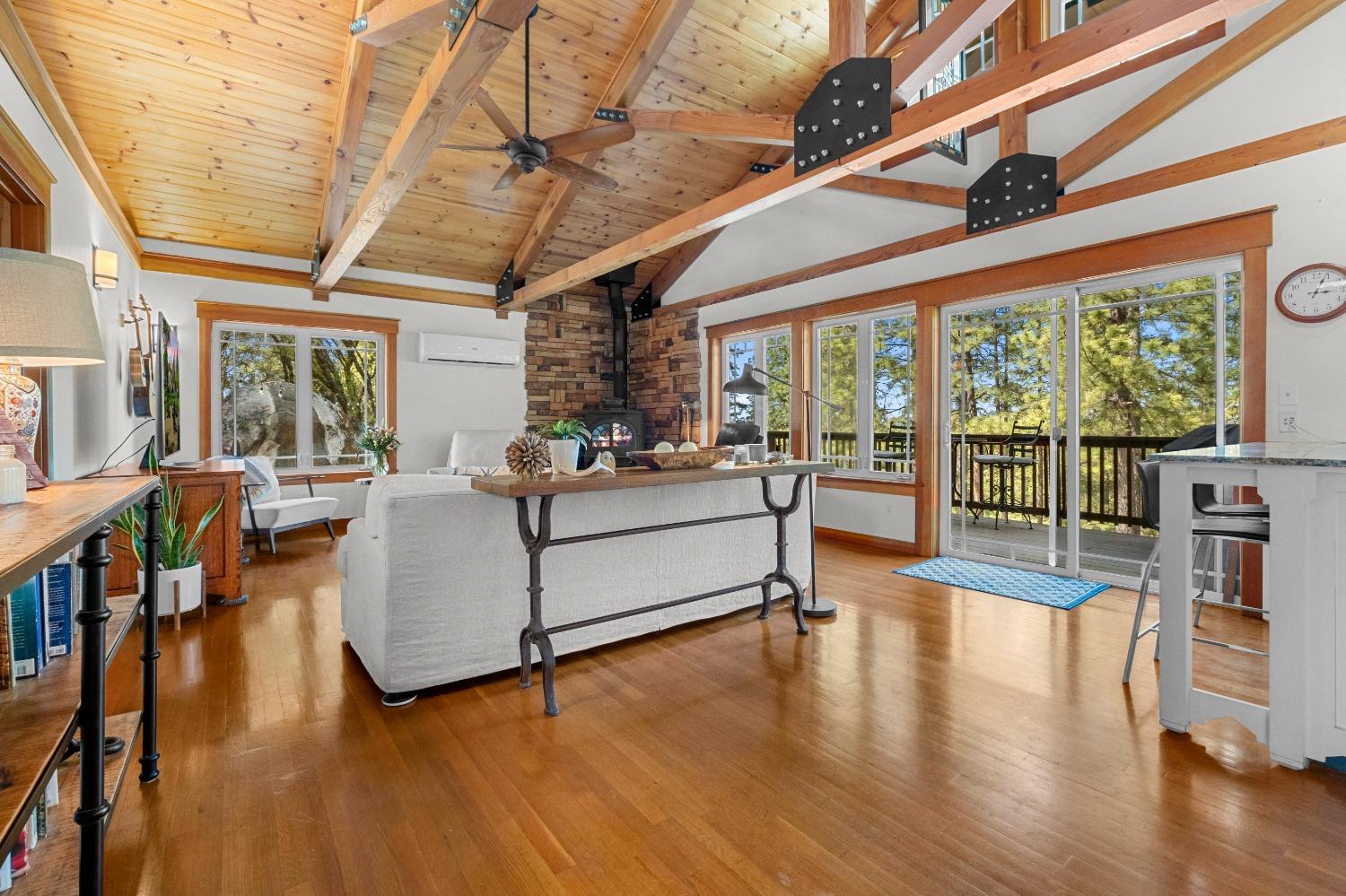 3137 Squirrel Hollow