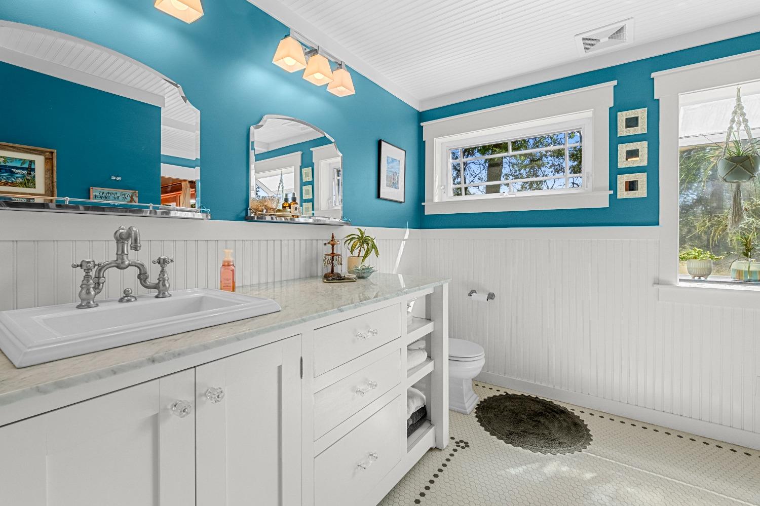 3137 Squirrel Hollow