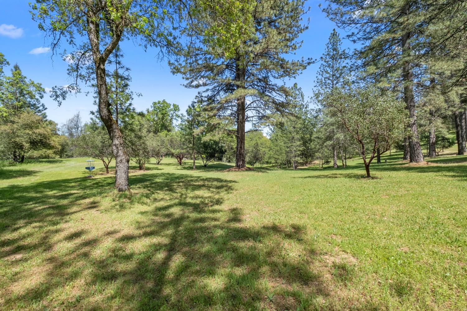 3137 Squirrel Hollow