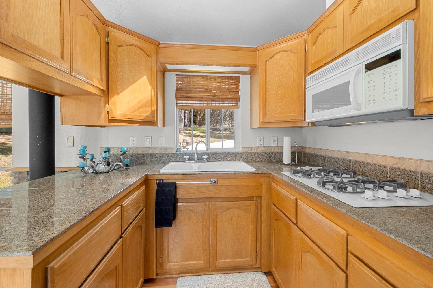 3137 Squirrel Hollow