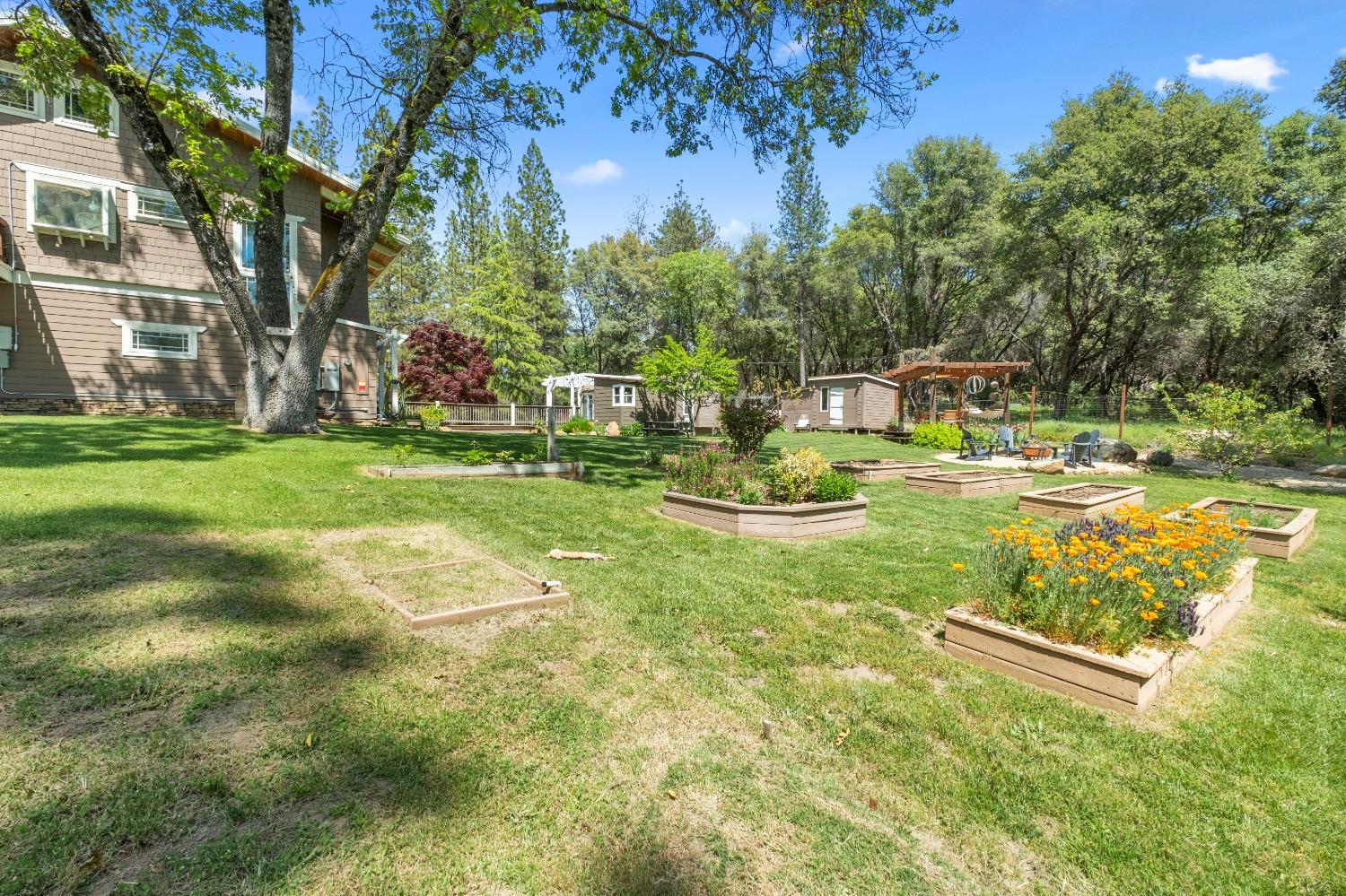 3137 Squirrel Hollow