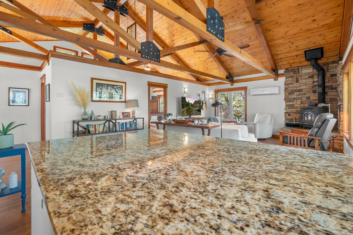 3137 Squirrel Hollow