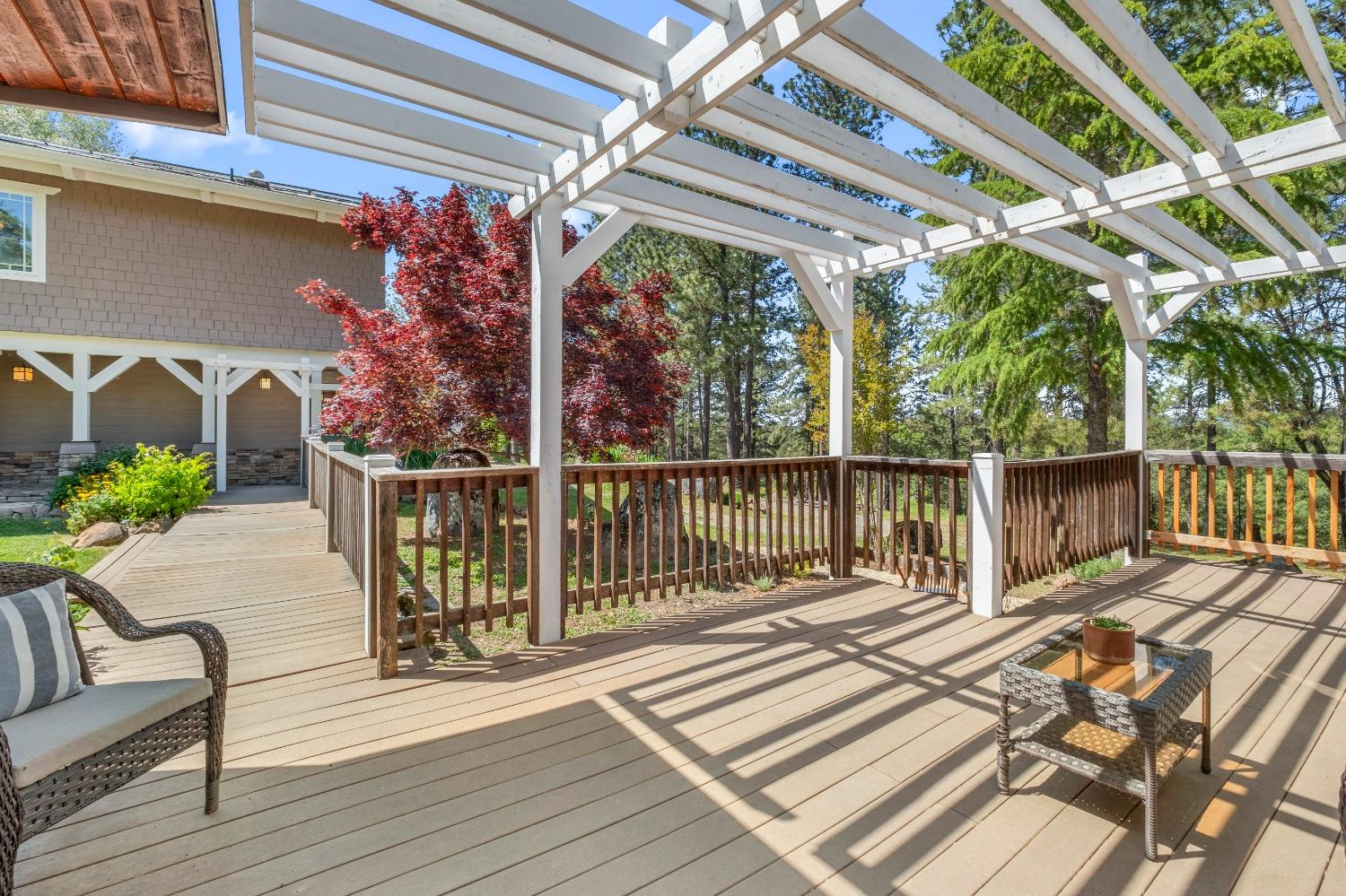 3137 Squirrel Hollow