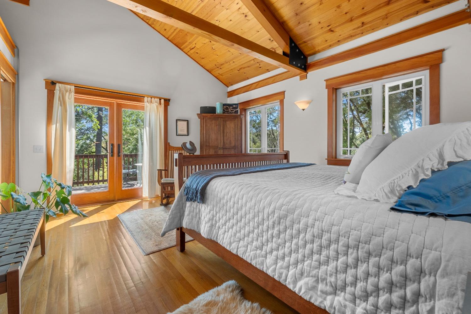 3137 Squirrel Hollow