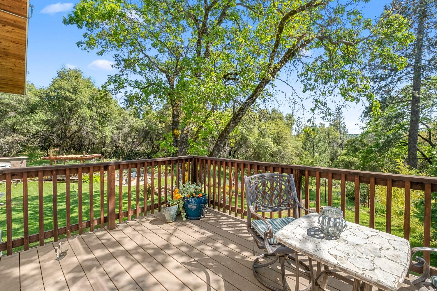 3137 Squirrel Hollow