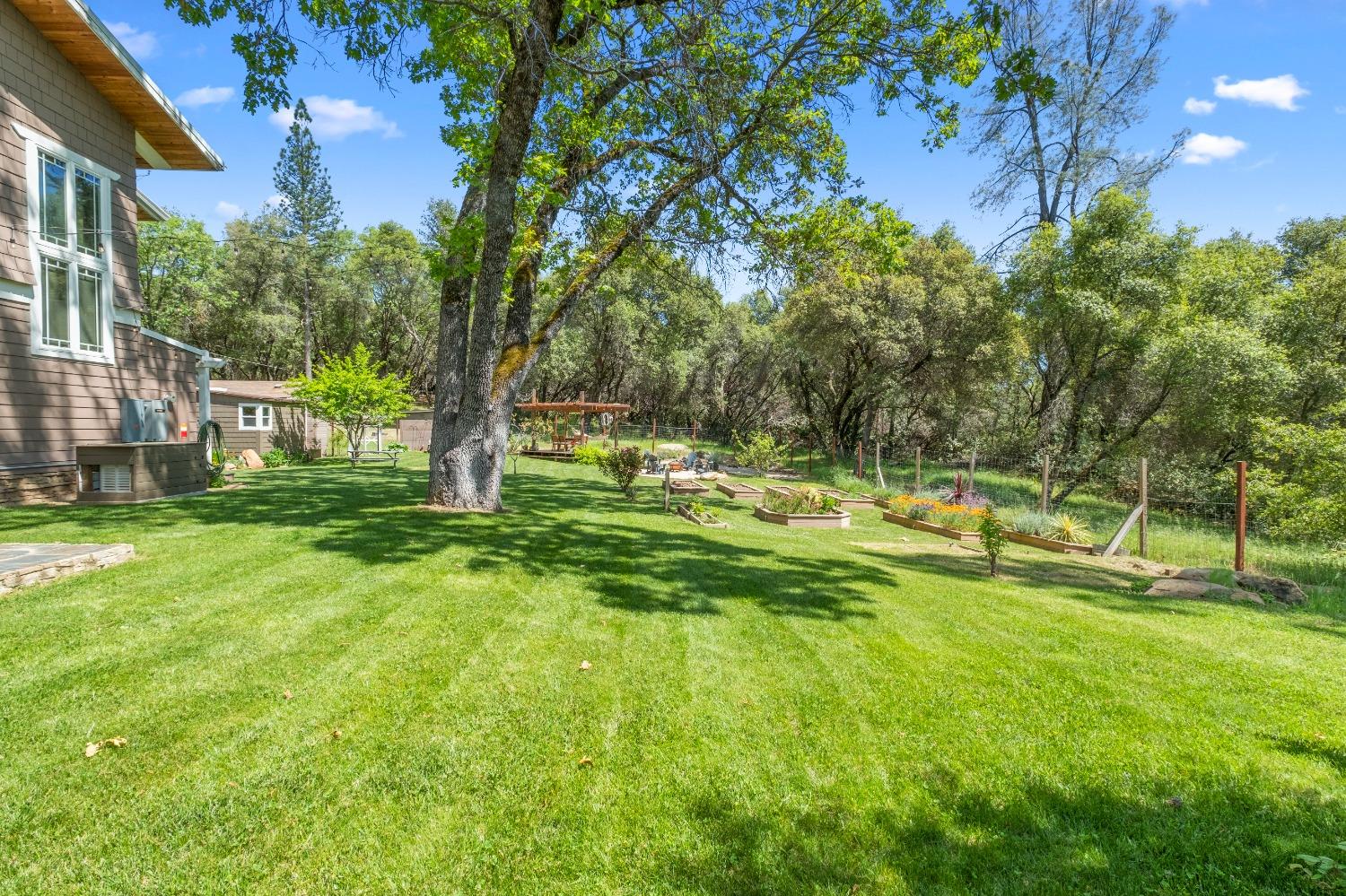 3137 Squirrel Hollow