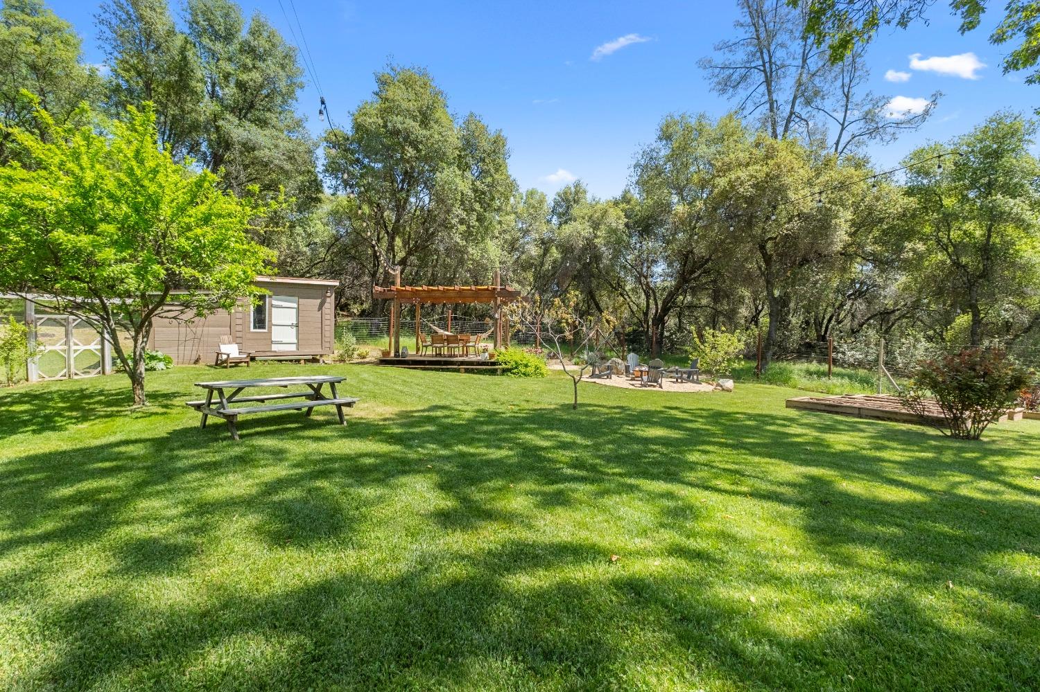 3137 Squirrel Hollow