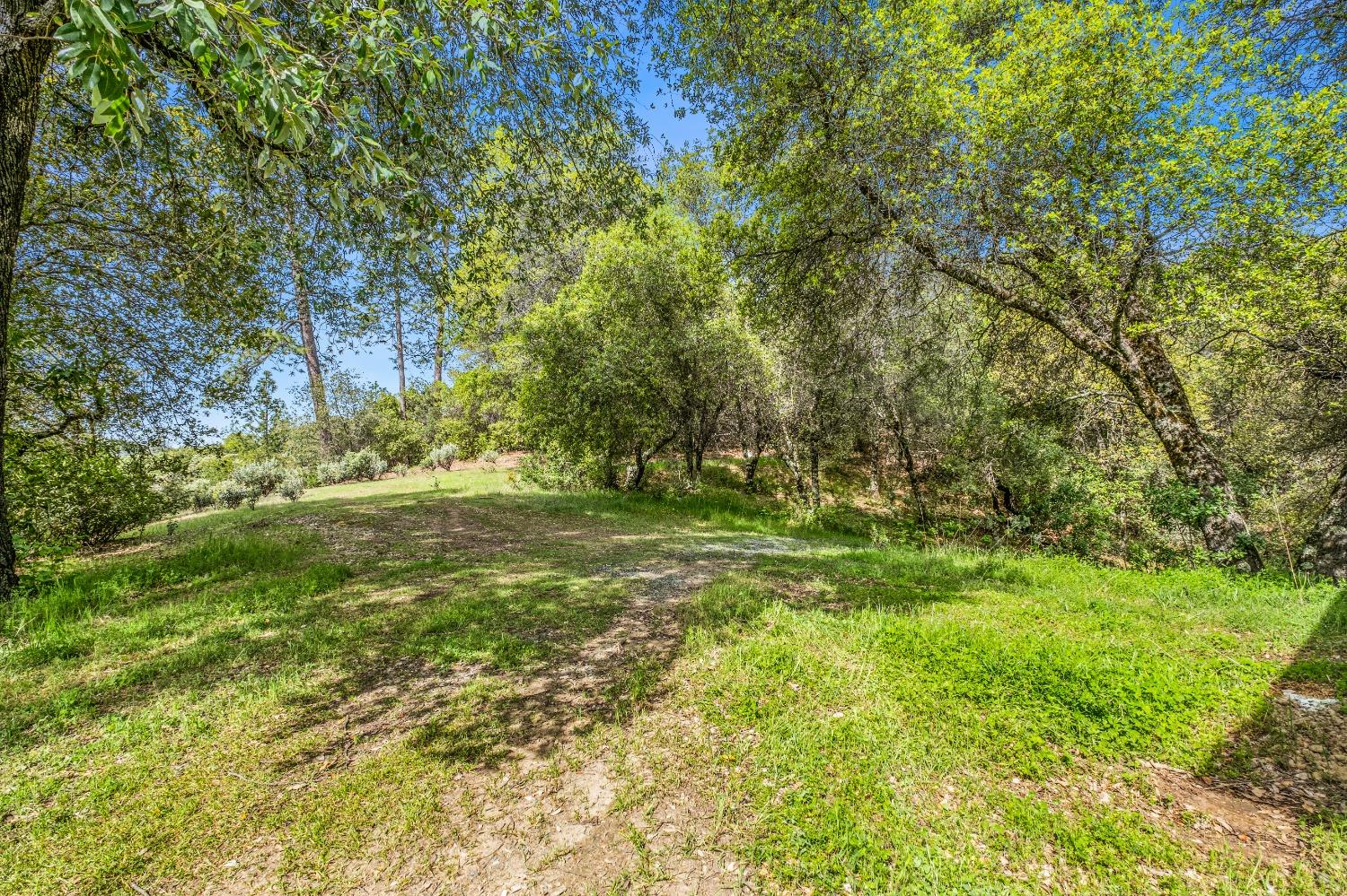 16315 Mount Whitney Drive