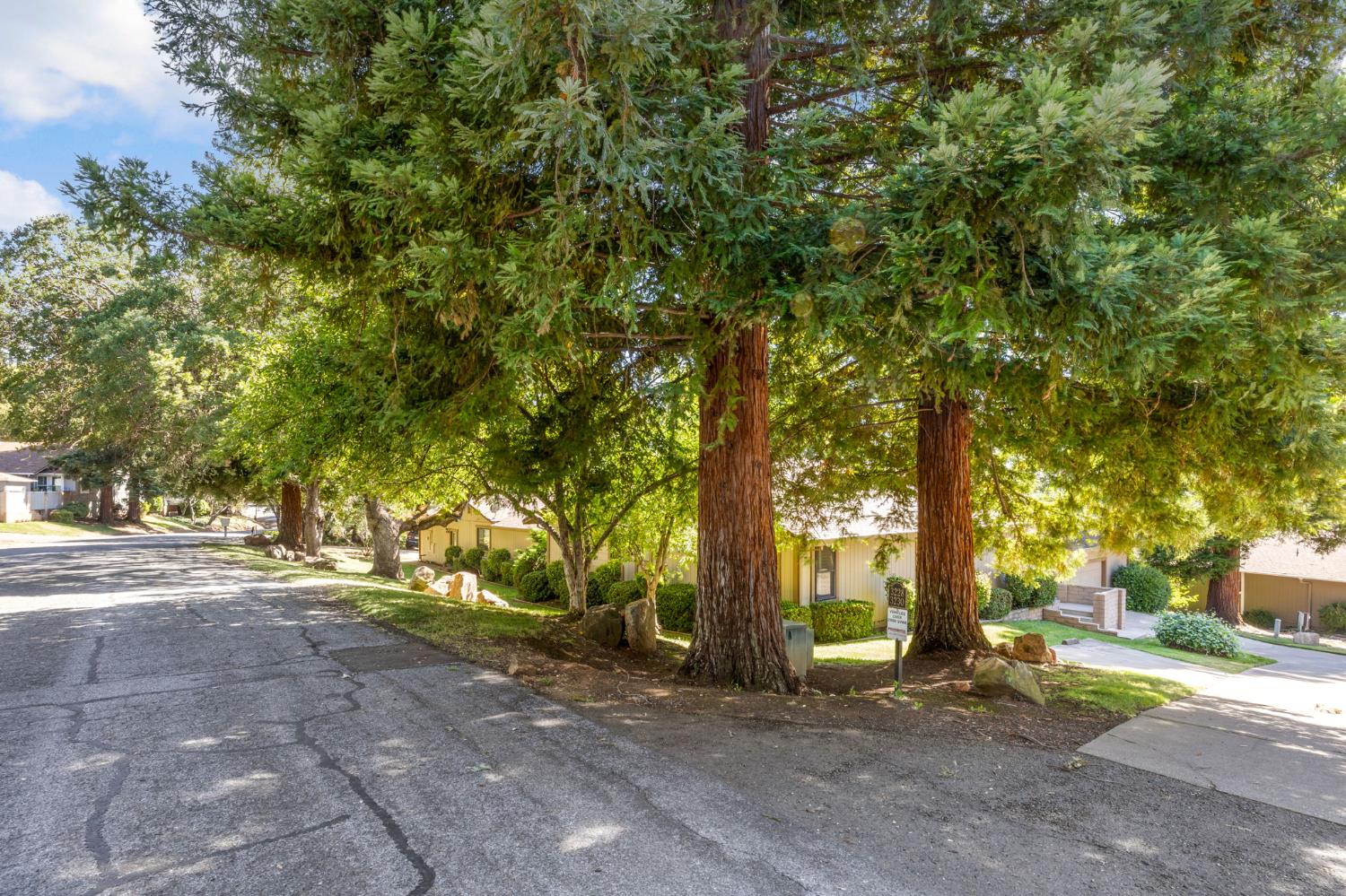 3230 Heights Drive