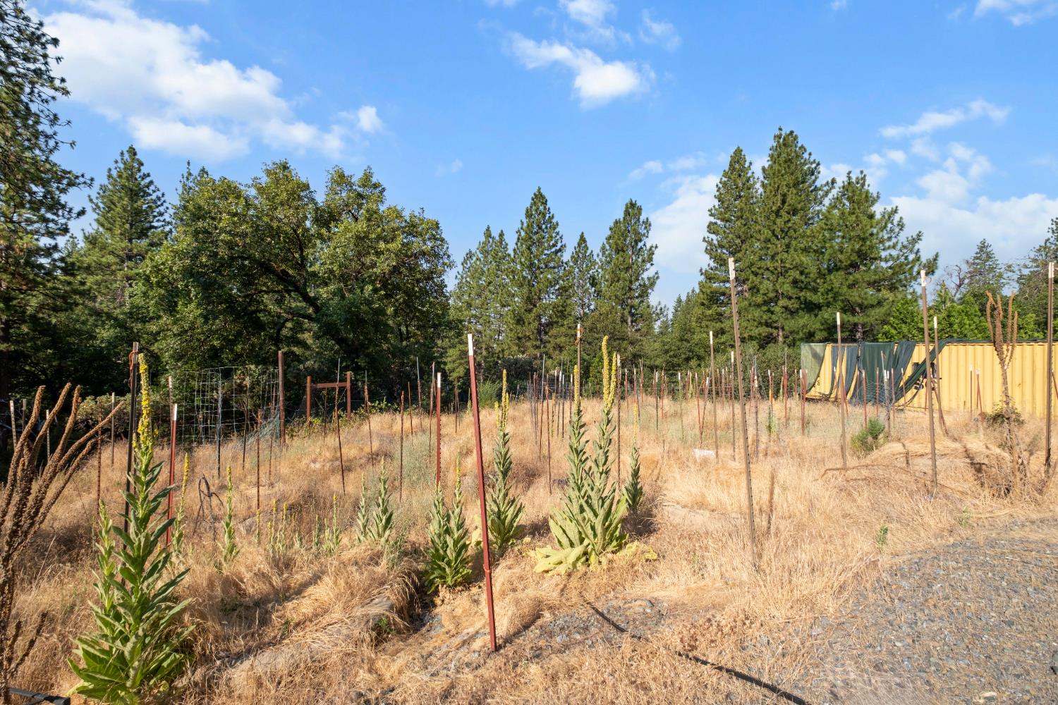 4970 Diggins Trl