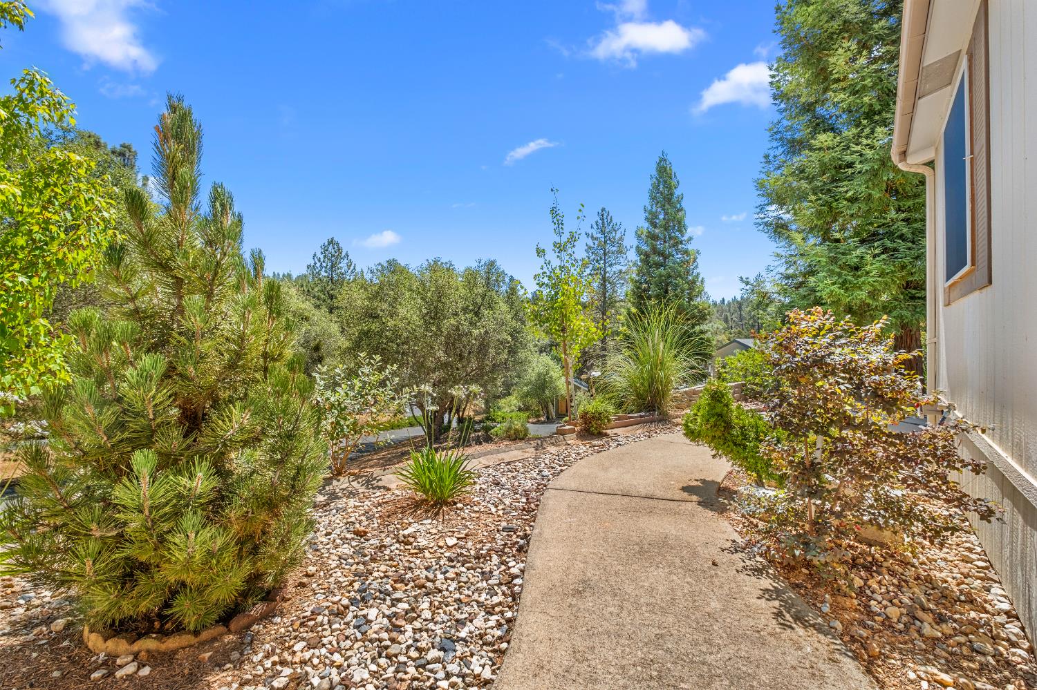 9461 State Highway 193 17