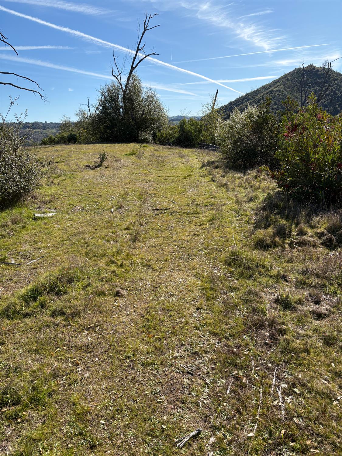 3201 Toyonberry Lane