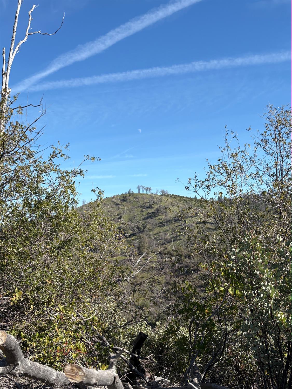 3201 Toyonberry Lane