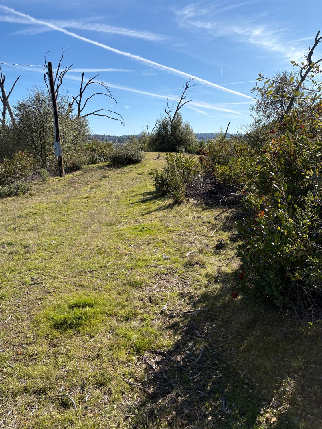 3201 Toyonberry Lane