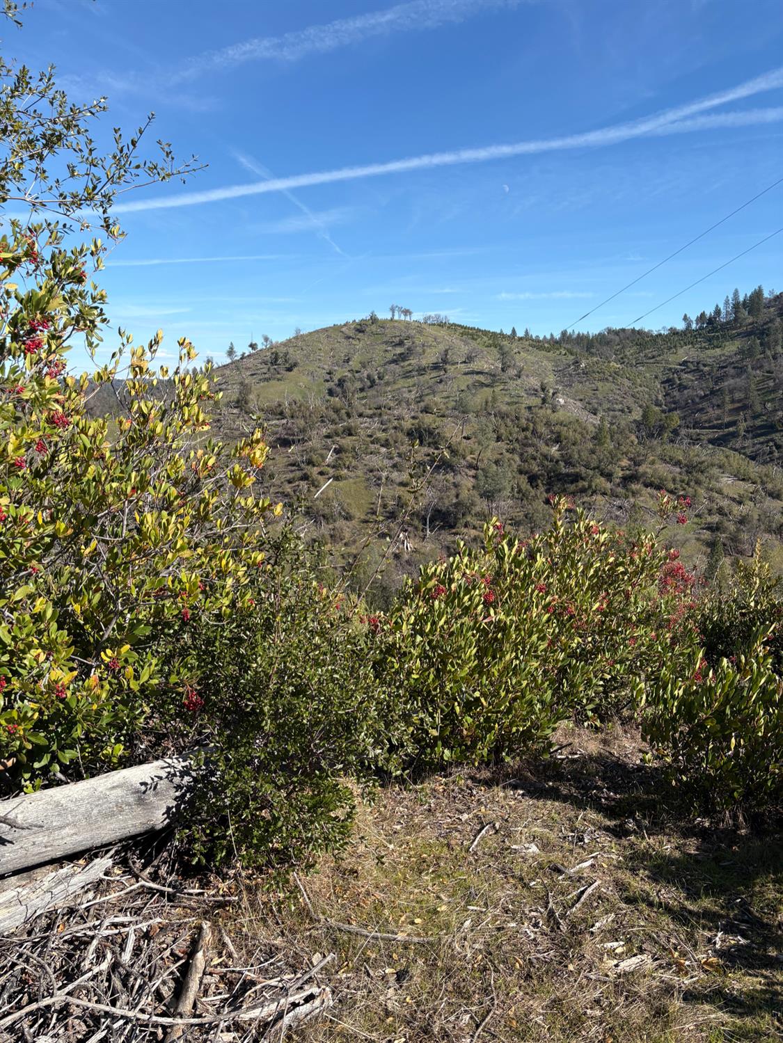 3201 Toyonberry Lane