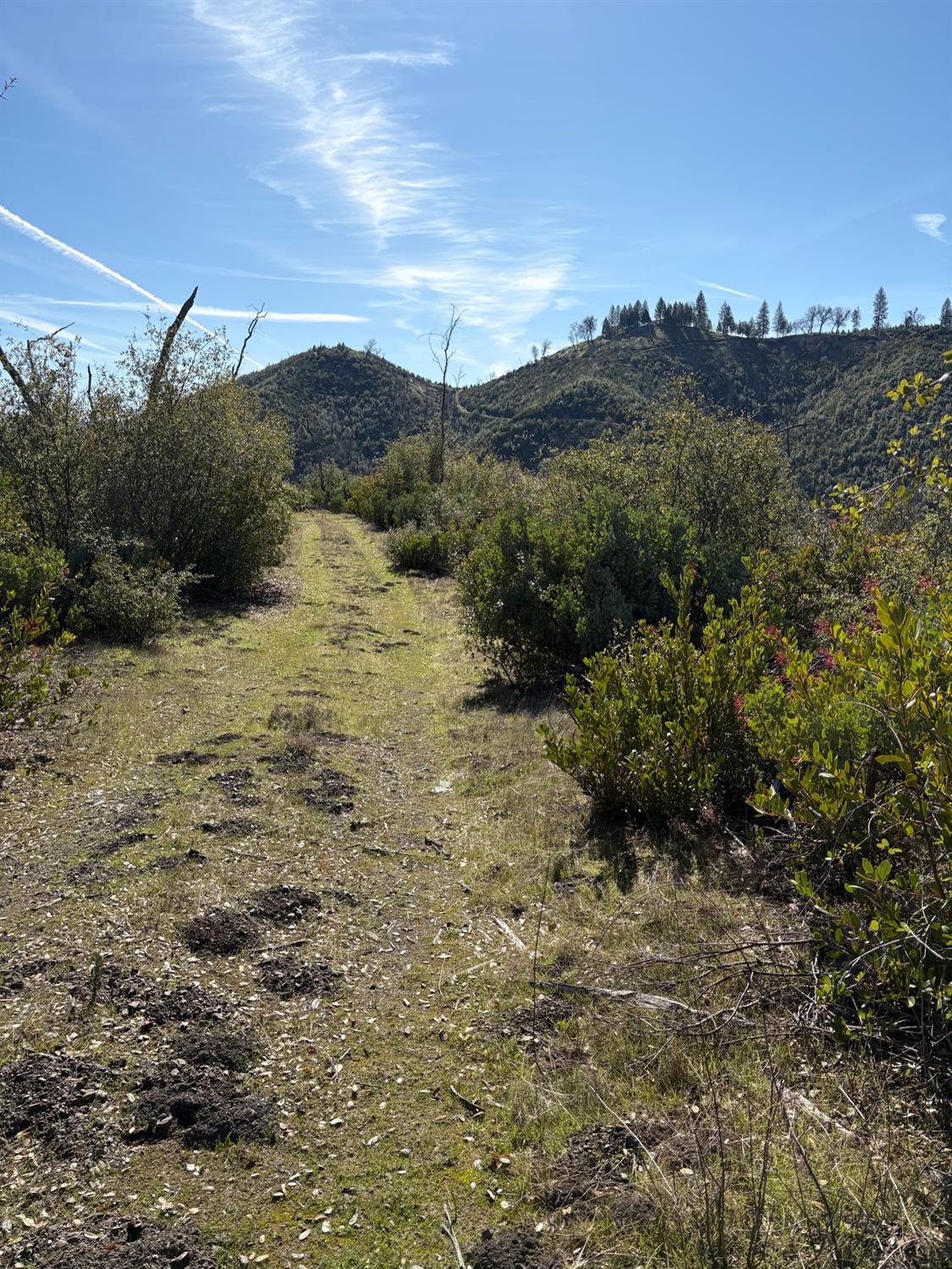 3201 Toyonberry Lane