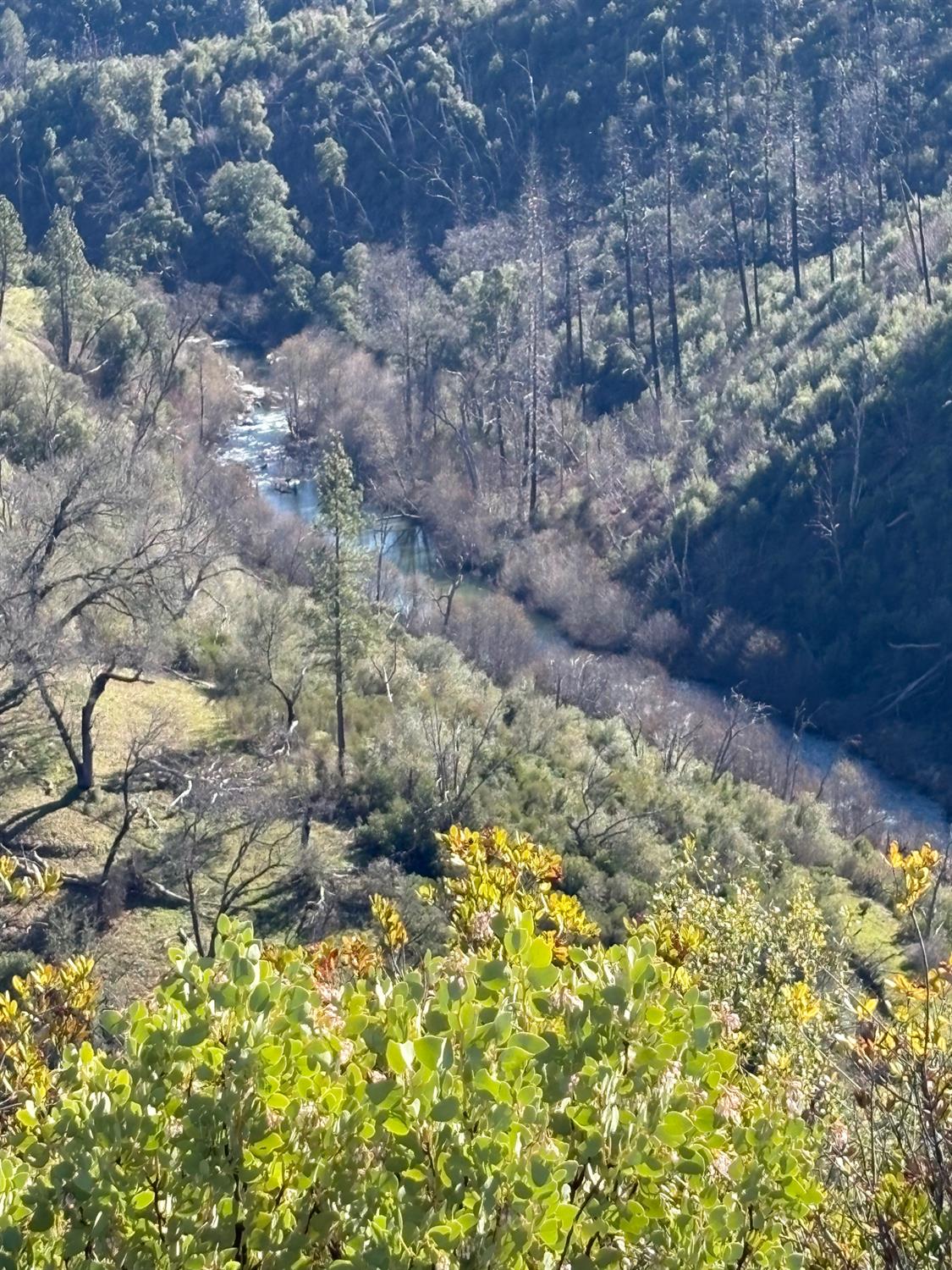 3201 Toyonberry Lane