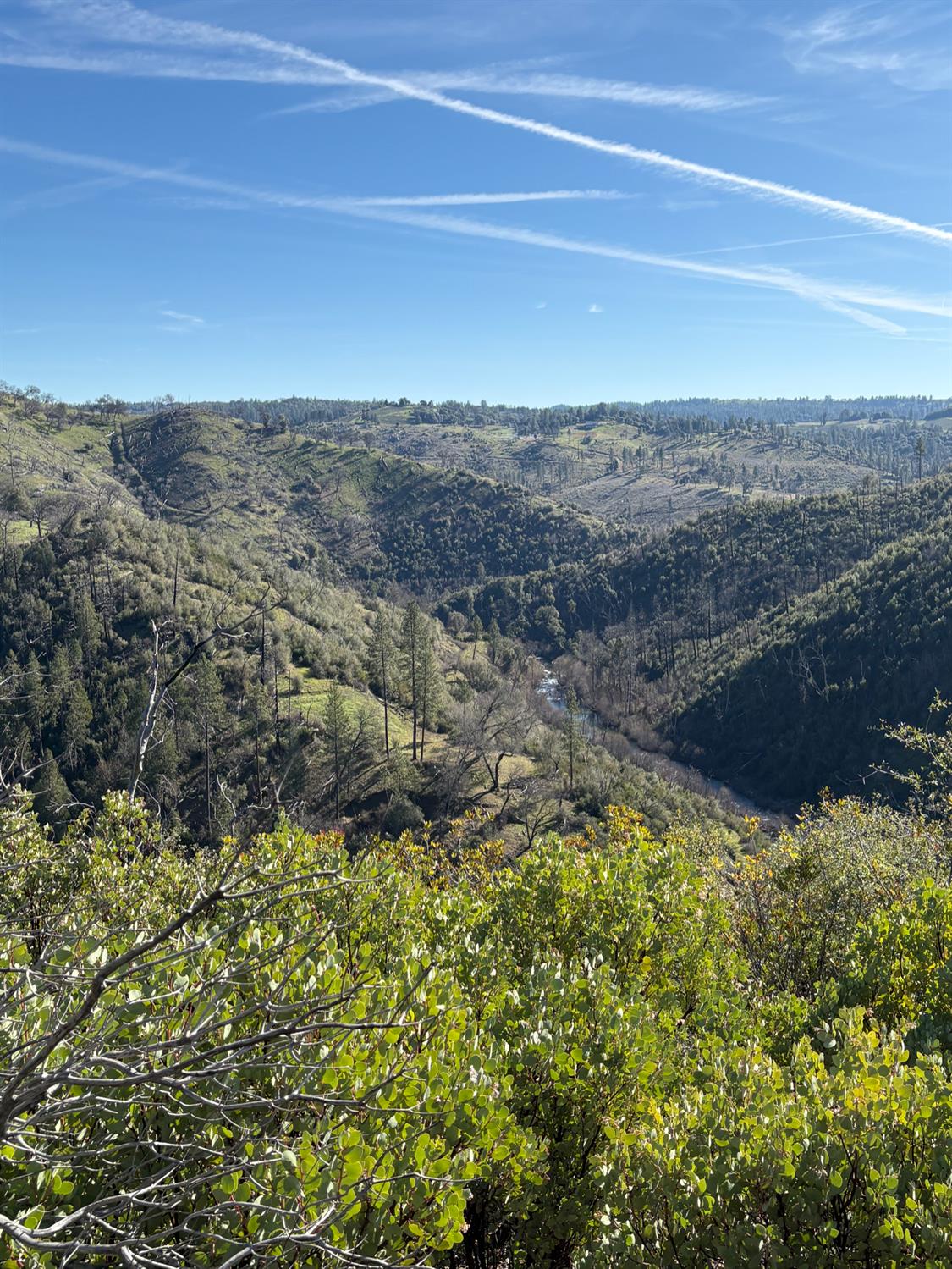 3201 Toyonberry Lane