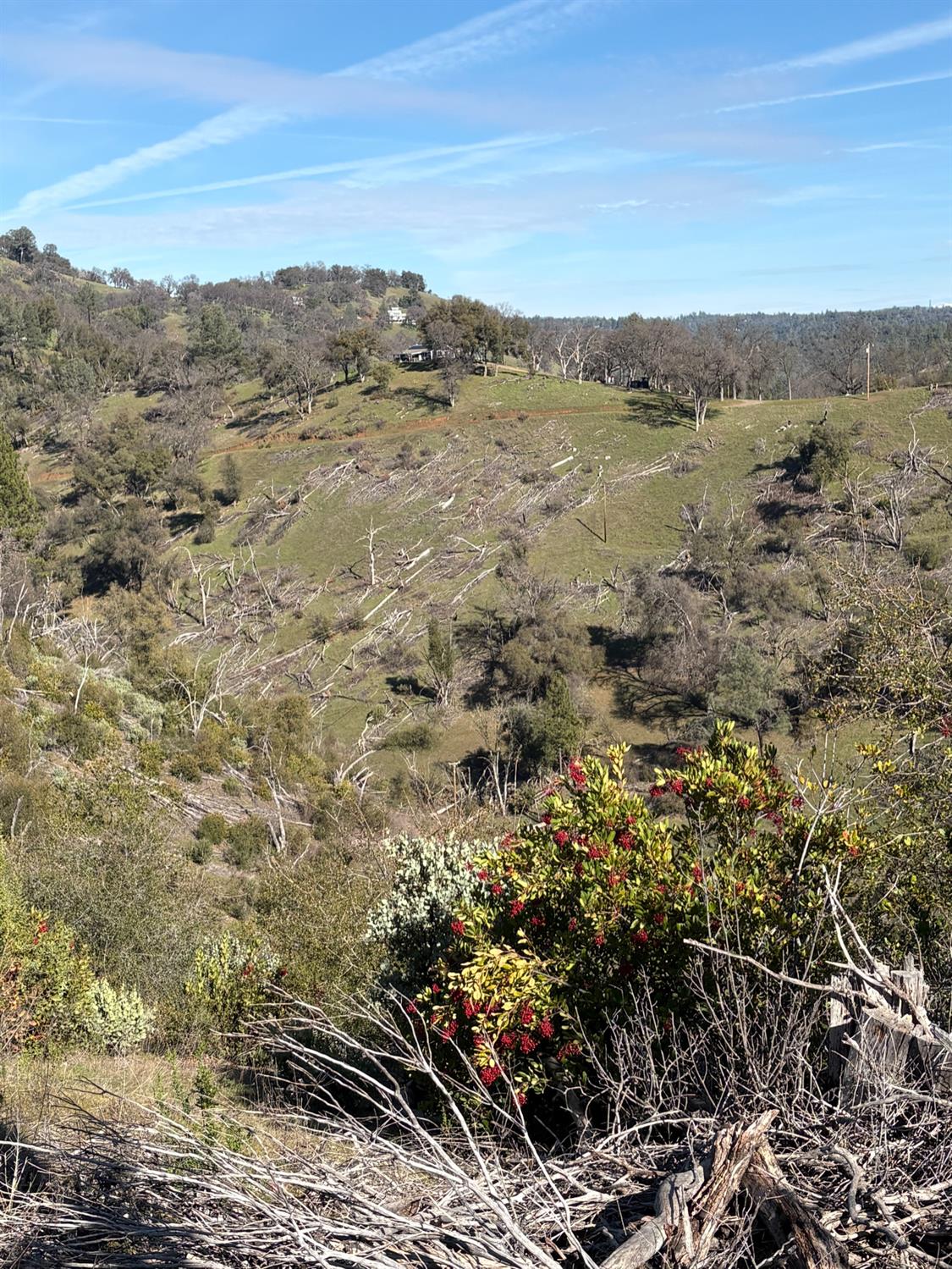 3201 Toyonberry Lane