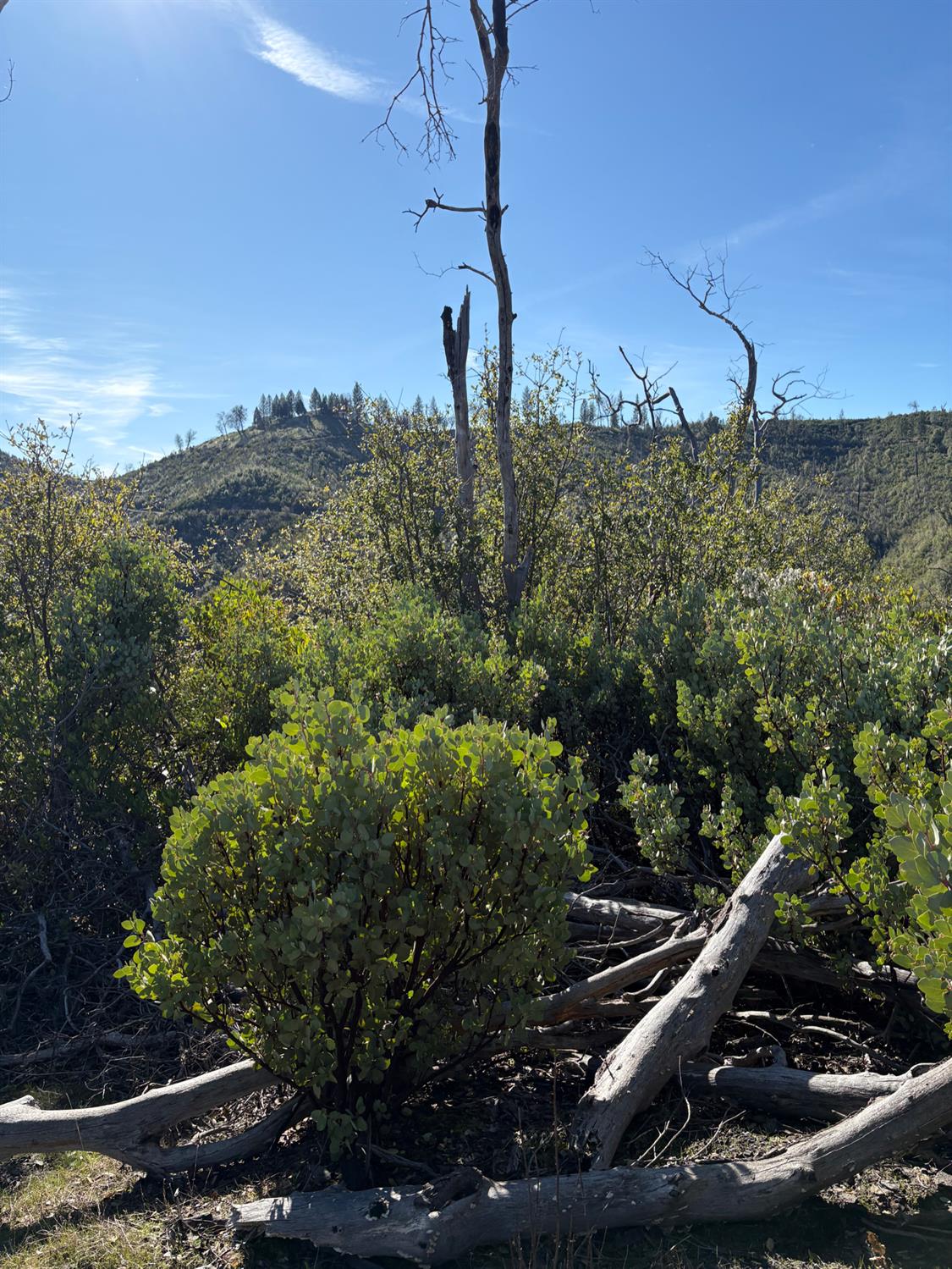 3201 Toyonberry Lane