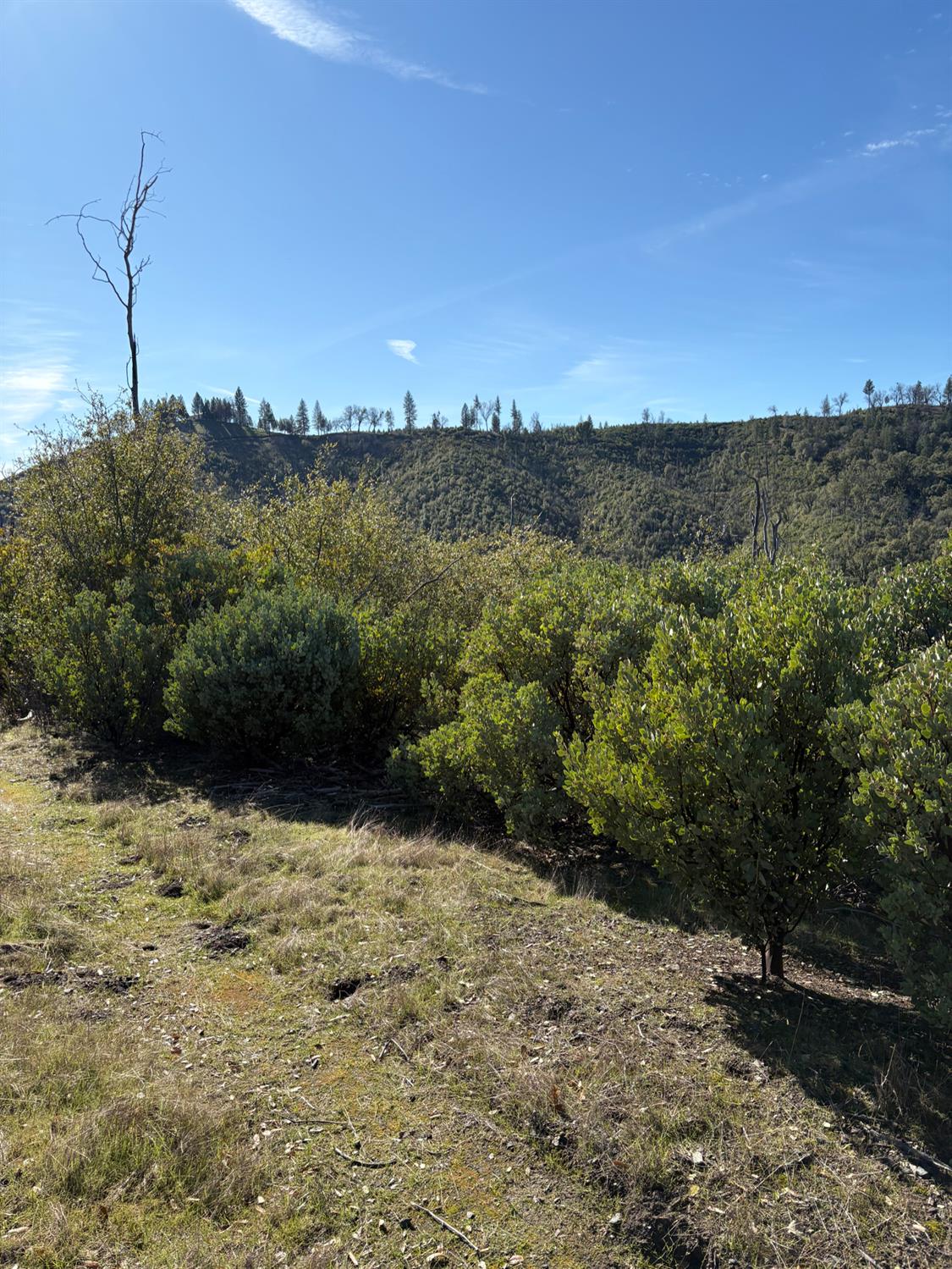 3201 Toyonberry Lane