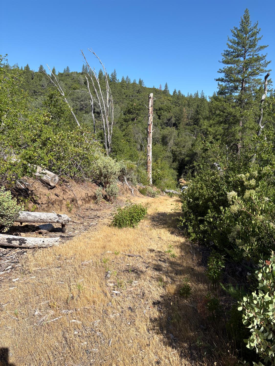 3201 Toyonberry Lane