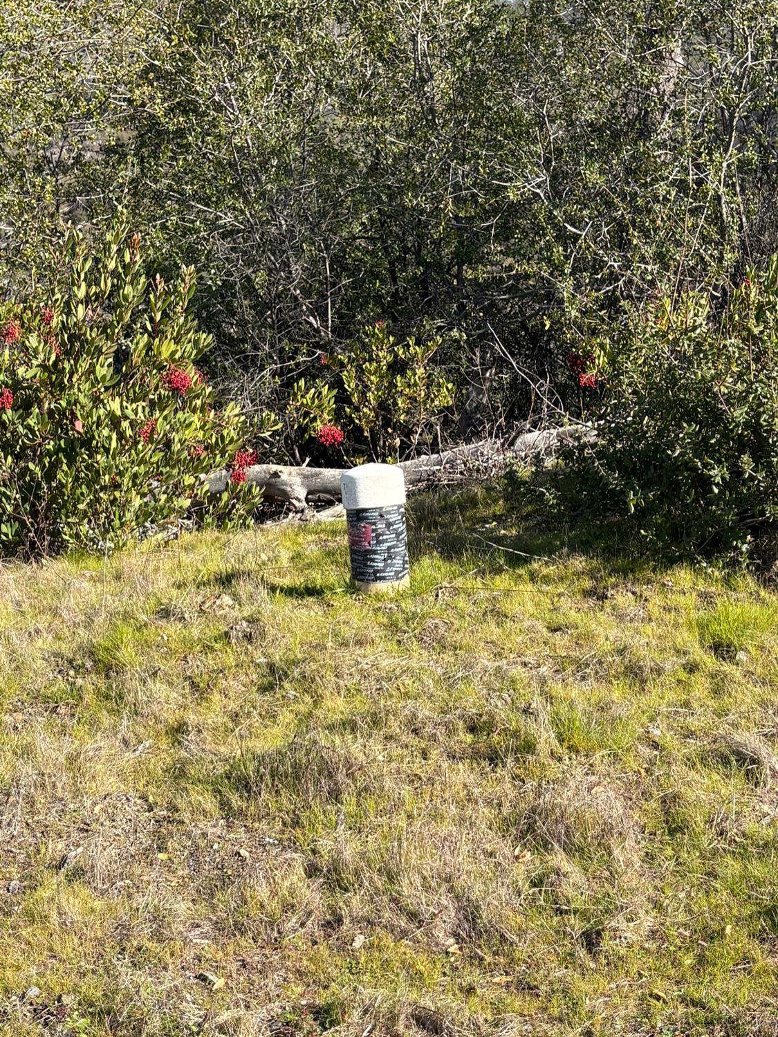 3201 Toyonberry Lane