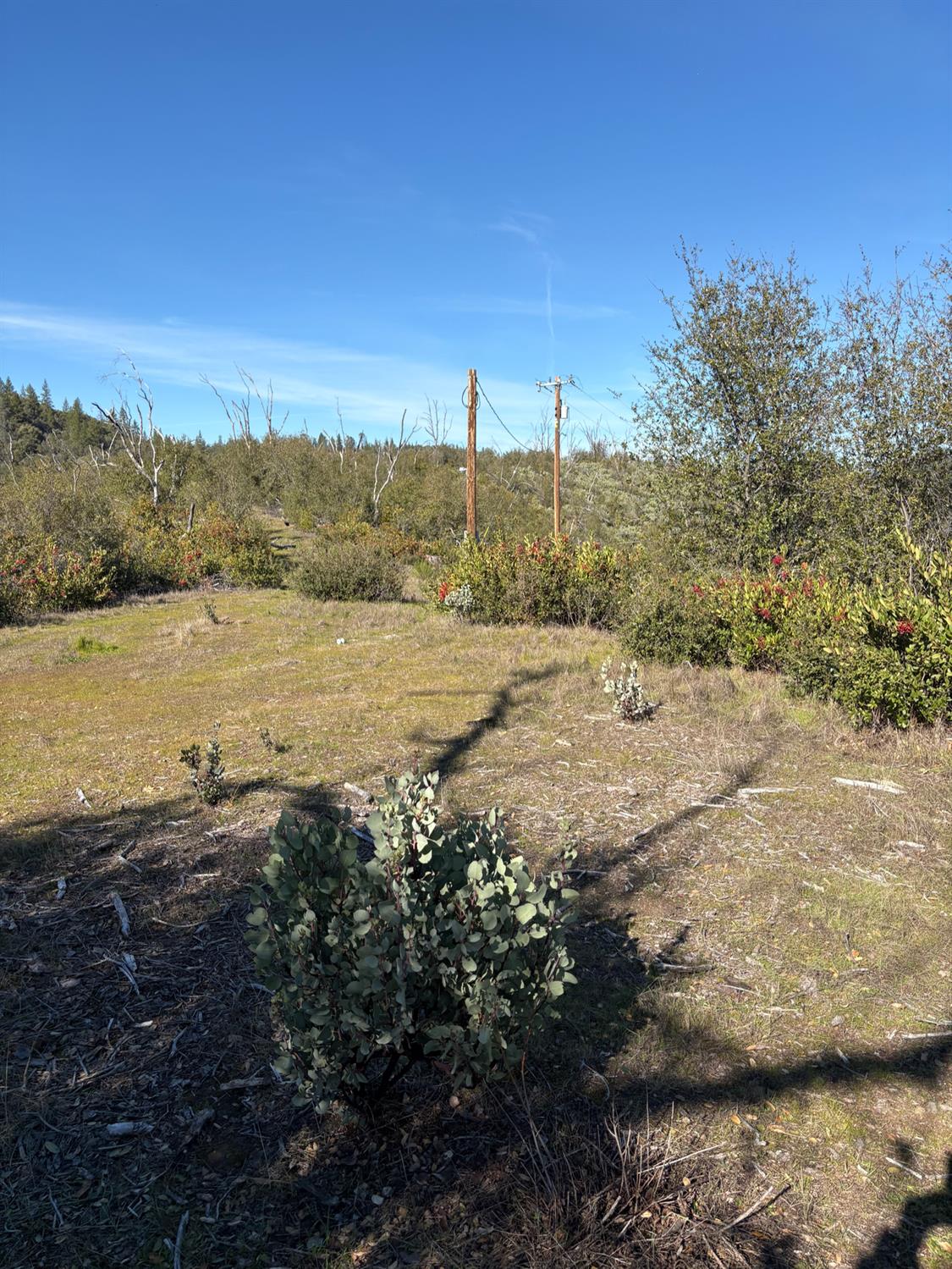 3201 Toyonberry Lane