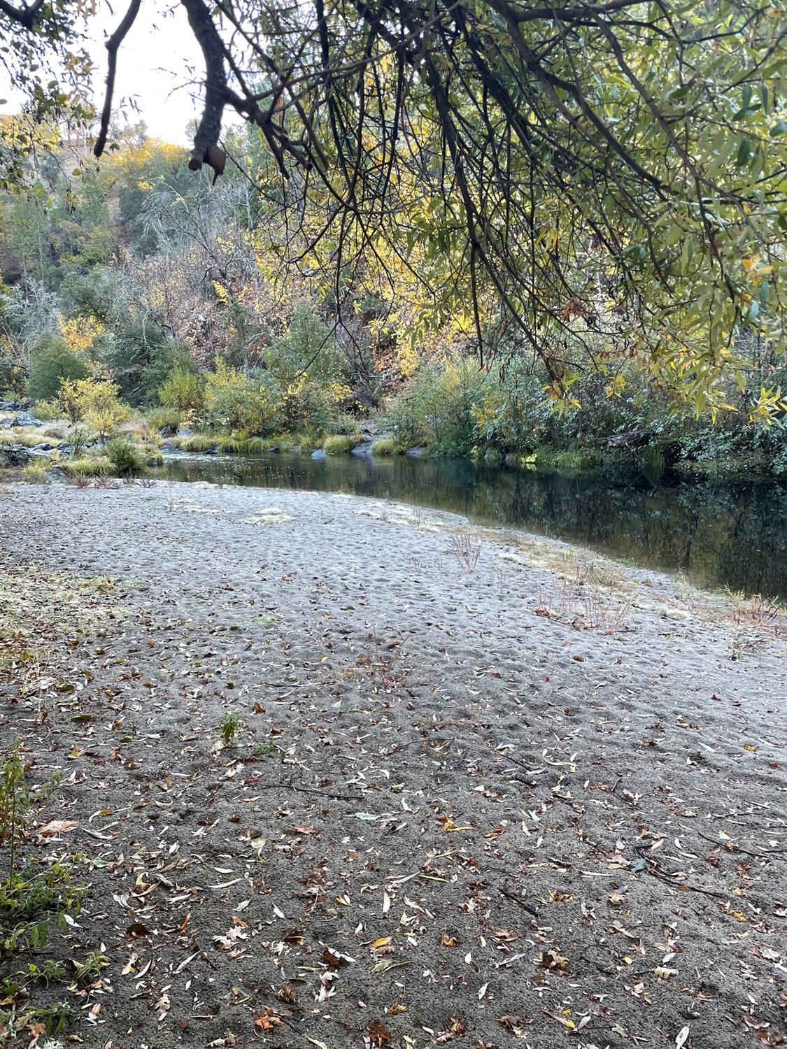 3201 Toyonberry Lane