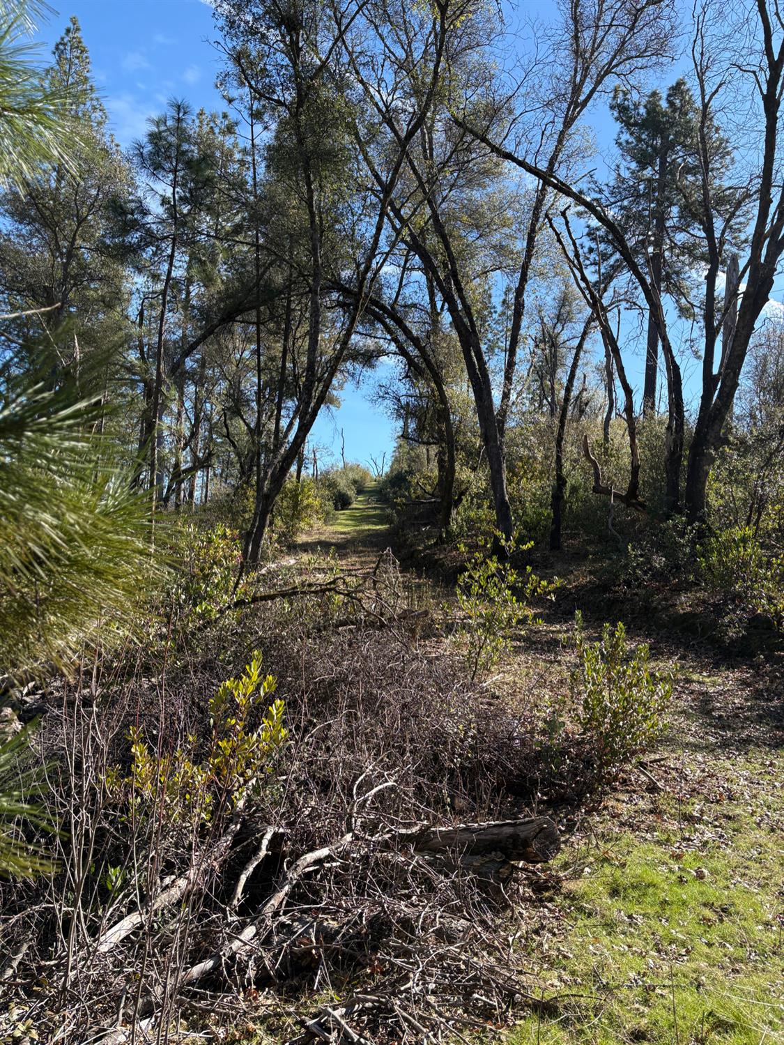 3201 Toyonberry Lane